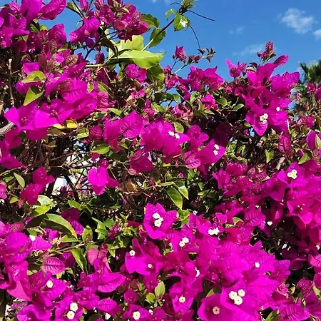 Hébergement de vacances Casa Gilda *